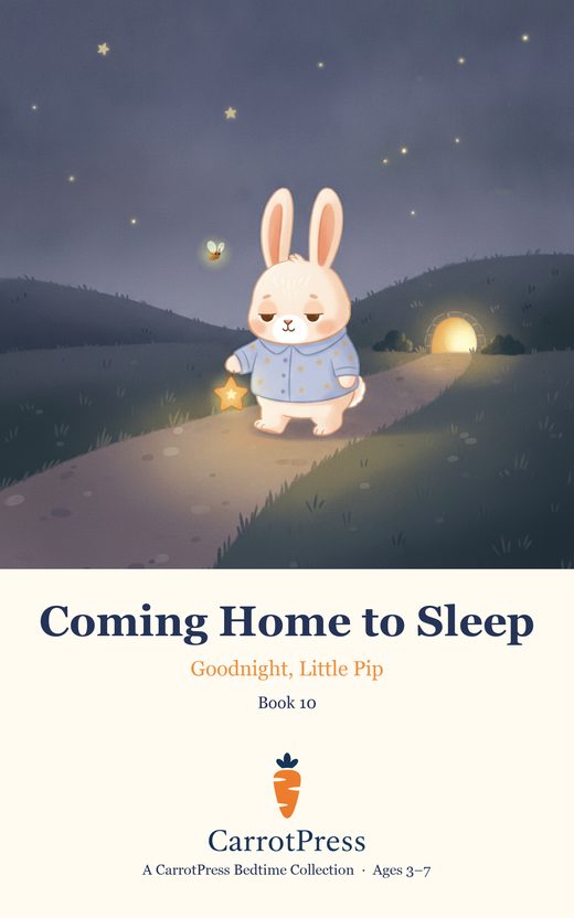 Coming Home to Sleep cover